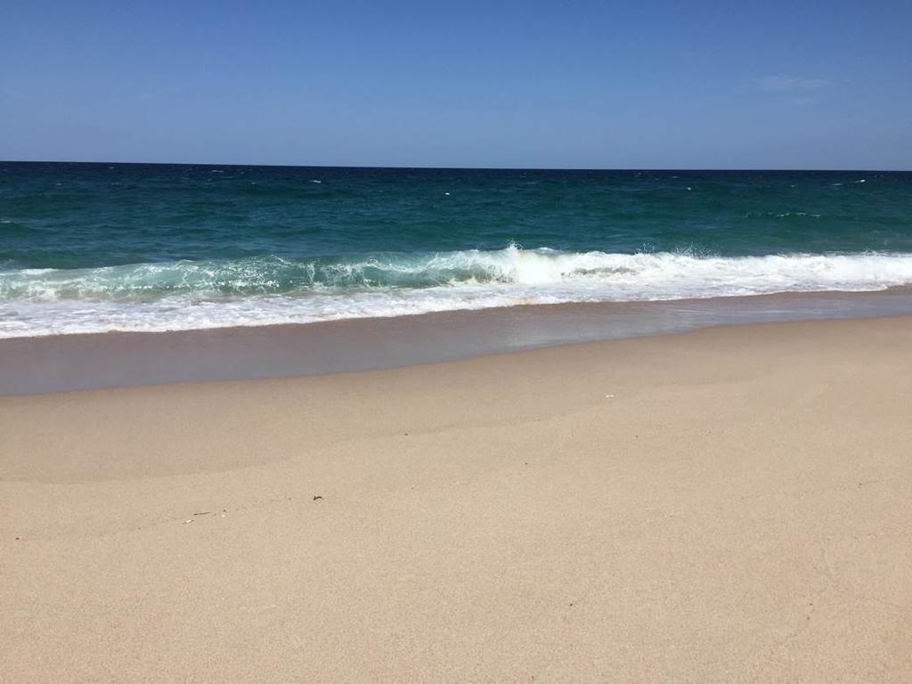Hotel Ras Al Hadd Beach Holiday Szúr Kültér fotó